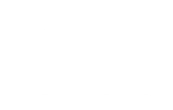 Homtronic